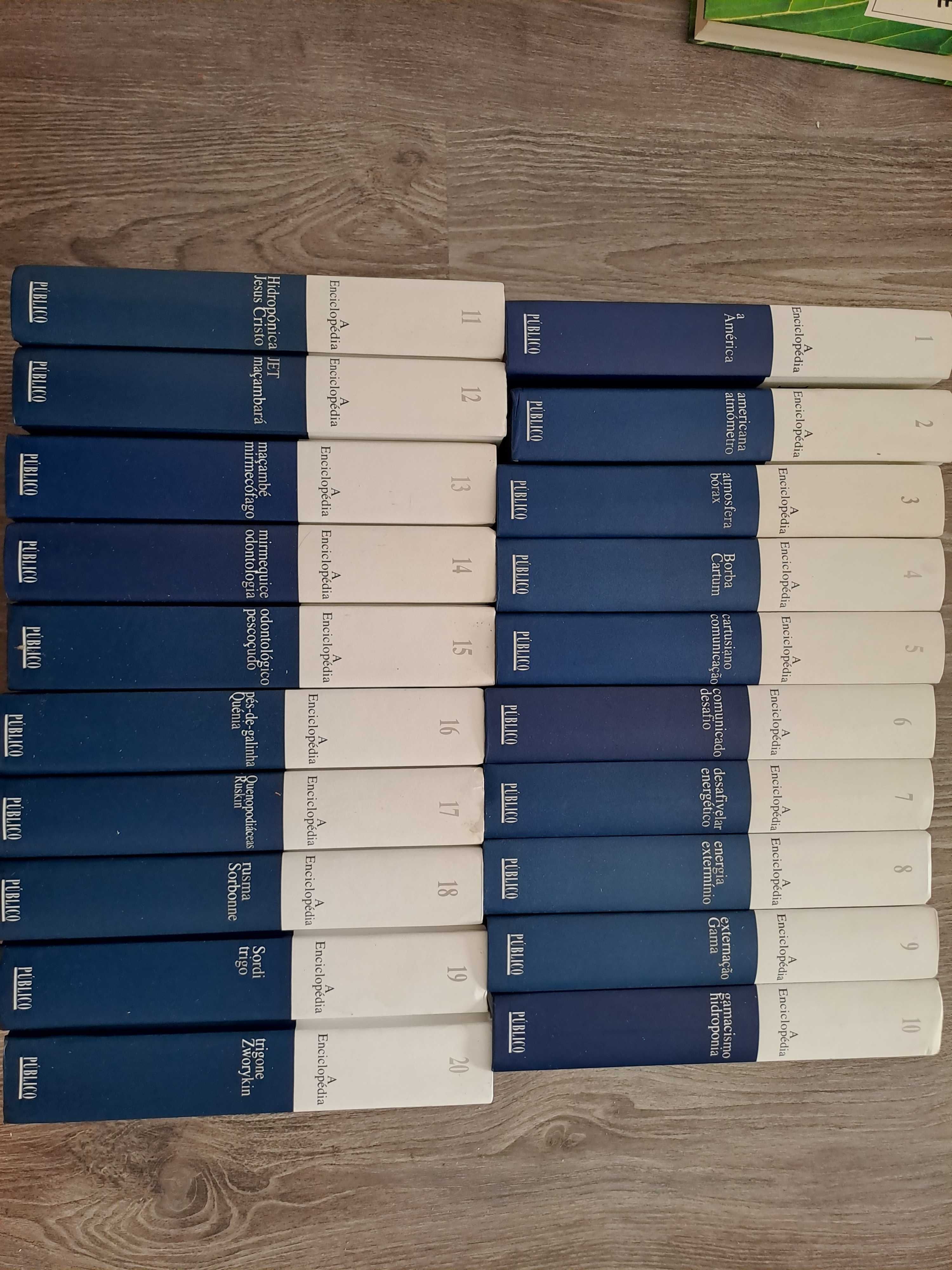 A Enciclopédia - 20 volumes