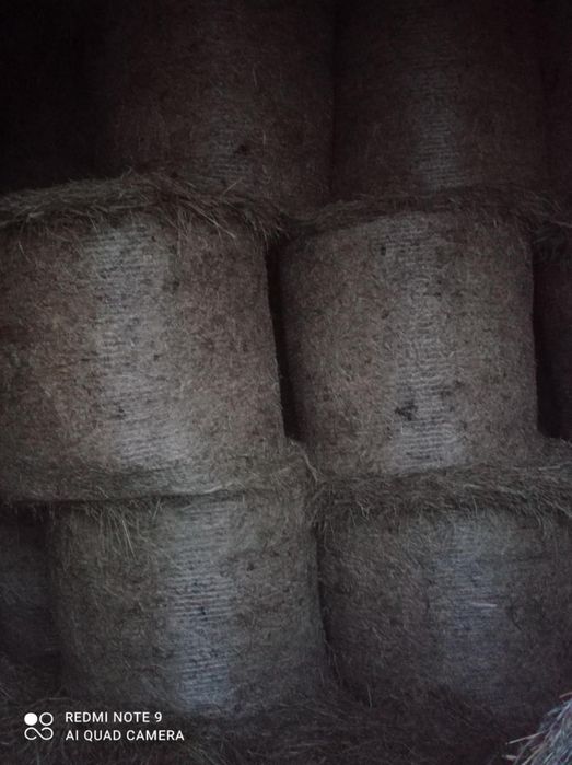 Sprzedam siano w belach