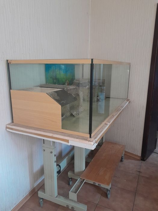 Большой аквариум-терариум.