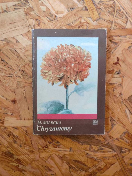 Chryzantemy. Maria Solecka