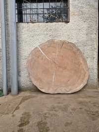 Grande rodela, fatia de tronco de madeira 110cm