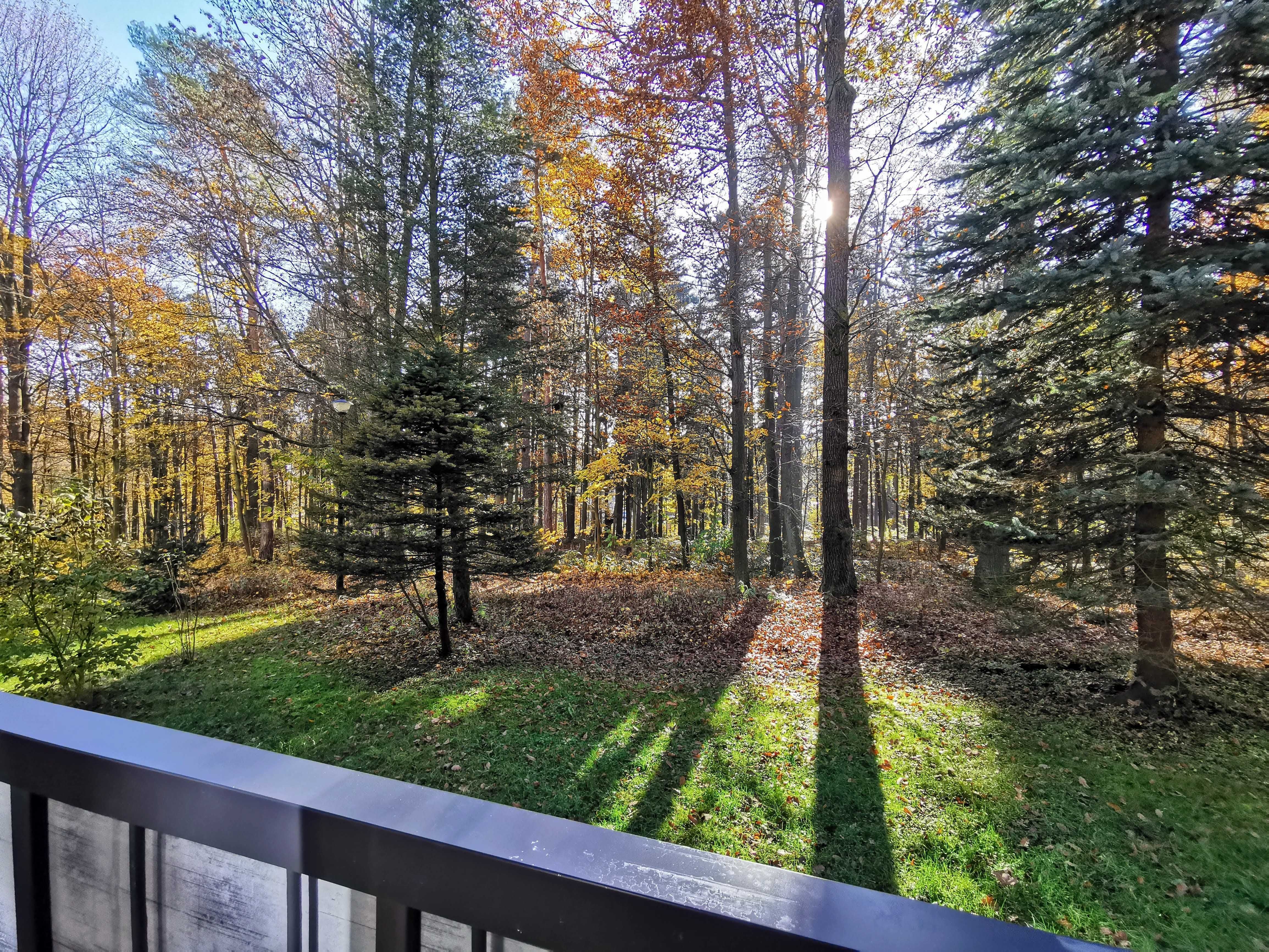 Apartament z Widokiem na Park, Polanica-Zdrój (2-4 os, 35m2)
