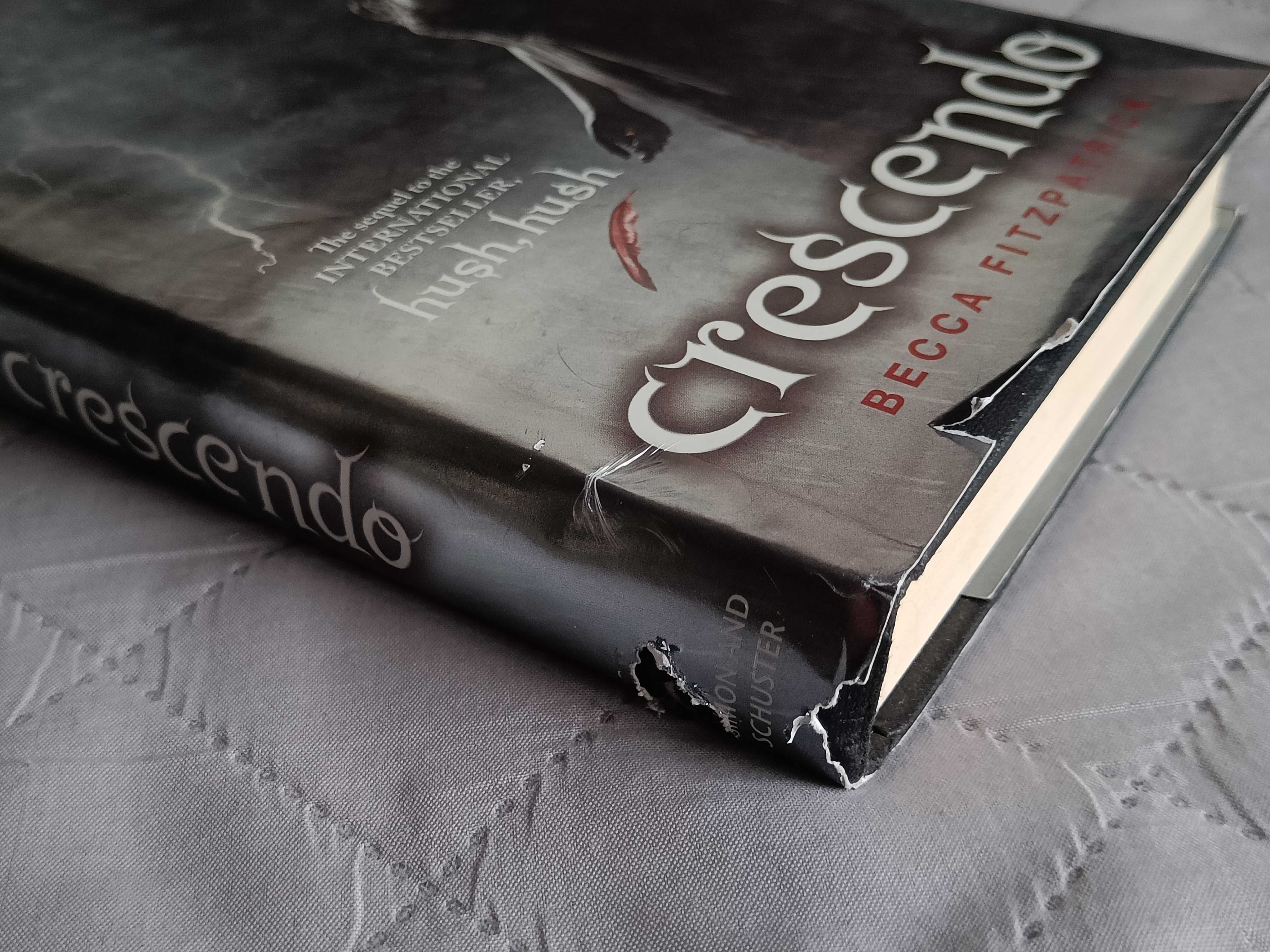 Becca Fitzpatrick, Crescendo