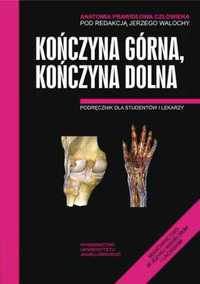 Anatomia prawidłowa człowieka. Koń.górna,koń. dol. - Jerzy Walocha (r