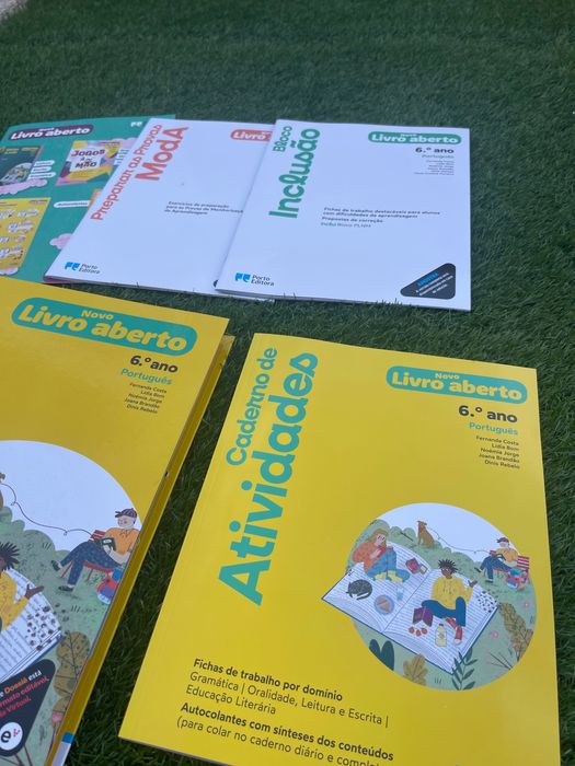 Novo livro aberto 6.º ano
