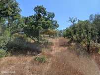 Terreno com 4.5 hectares e nascente - Serra Grândola