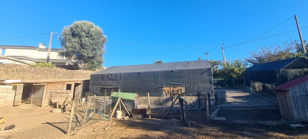 Quintinha em Ribeirão