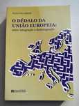O Dédalo da União Europeia: entre integração e desintegração