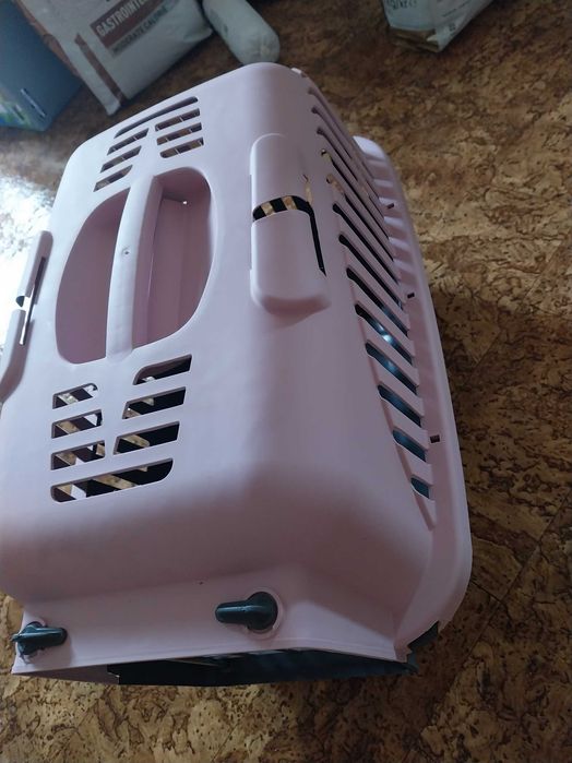 Transportadoras de gato - novas