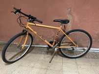 Bicicleta de montanha adulto