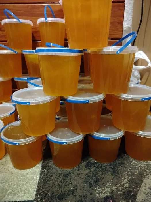 Продам свіжий мед Копичинці 2025