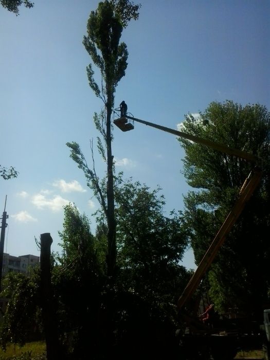 Розчищення ділянок Зрізання, обрізка, Видалення дерев Вирівнювання.