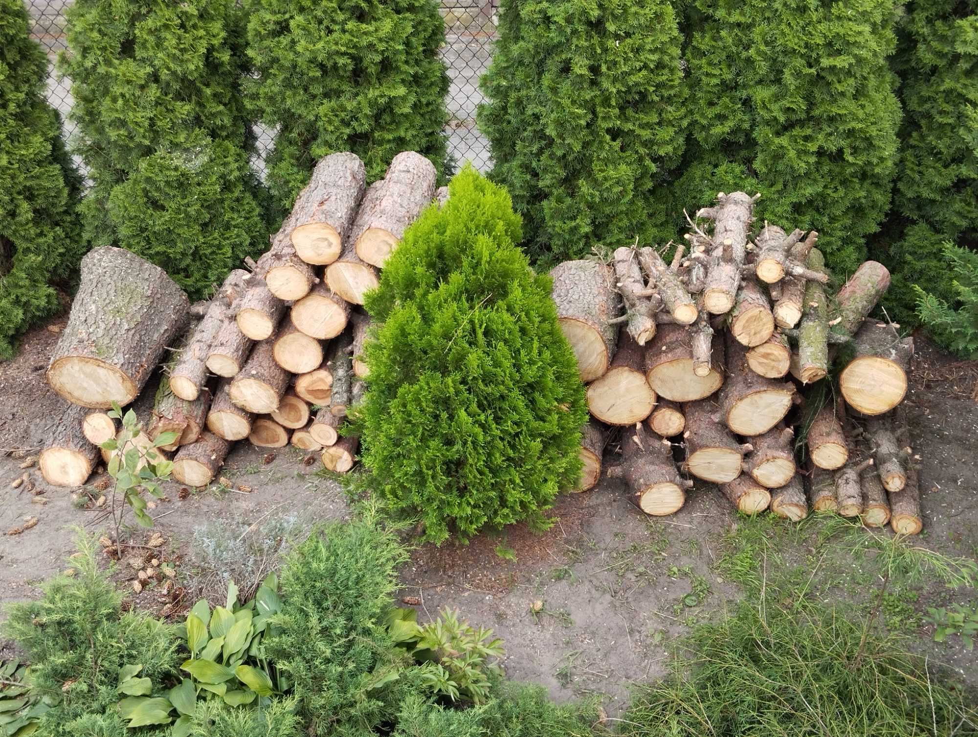 Drewno na opał Modrzew i Świerk