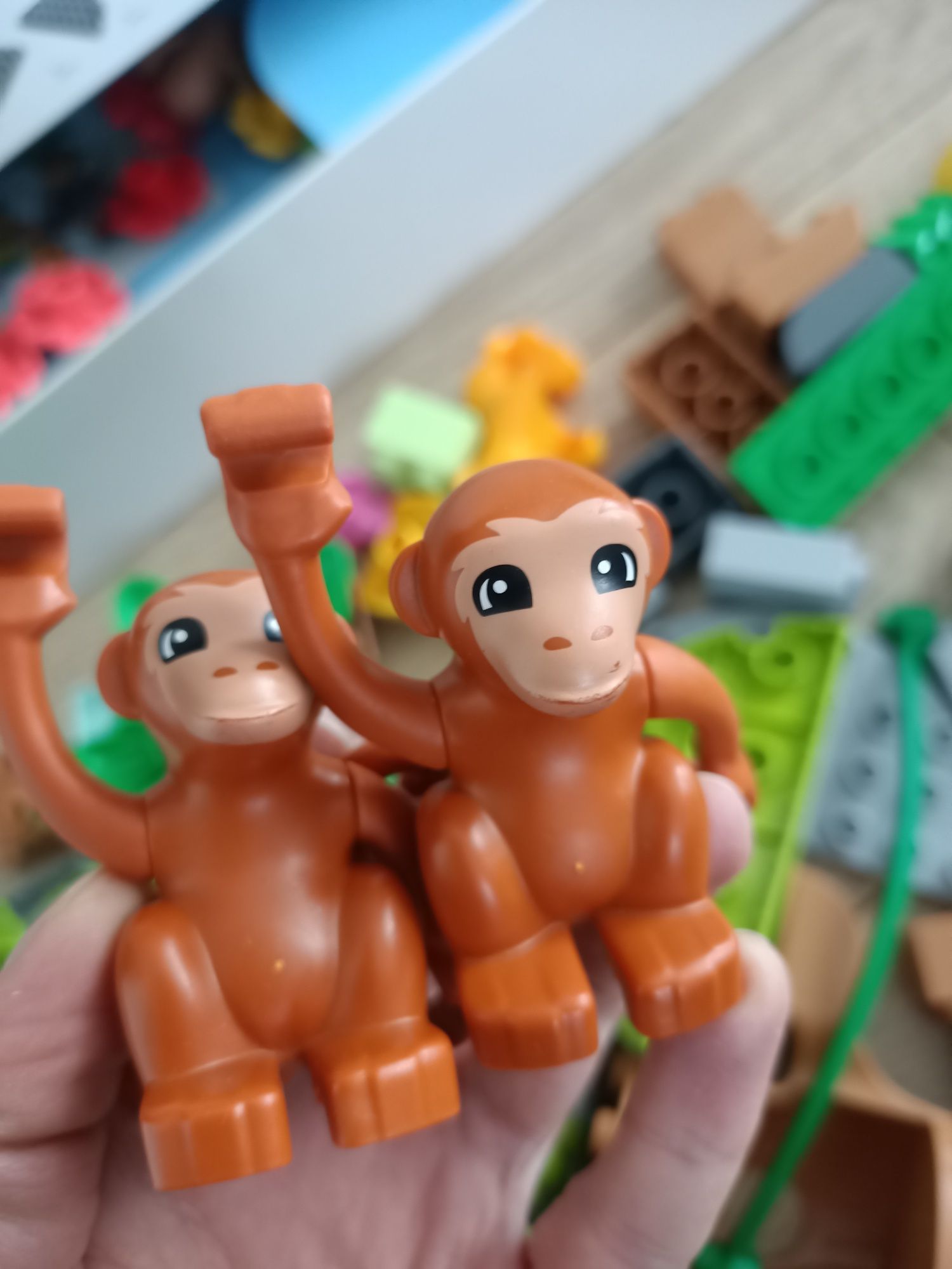 LEGO Duplo 10973 Dzikie zwierzęta Ameryki Południowej