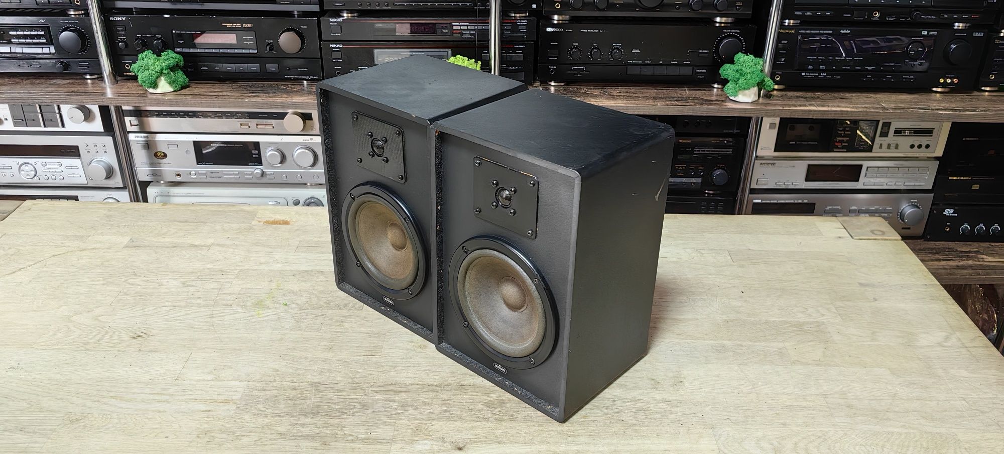 2-х полосна акустика Axiom SMP 50/4Ω