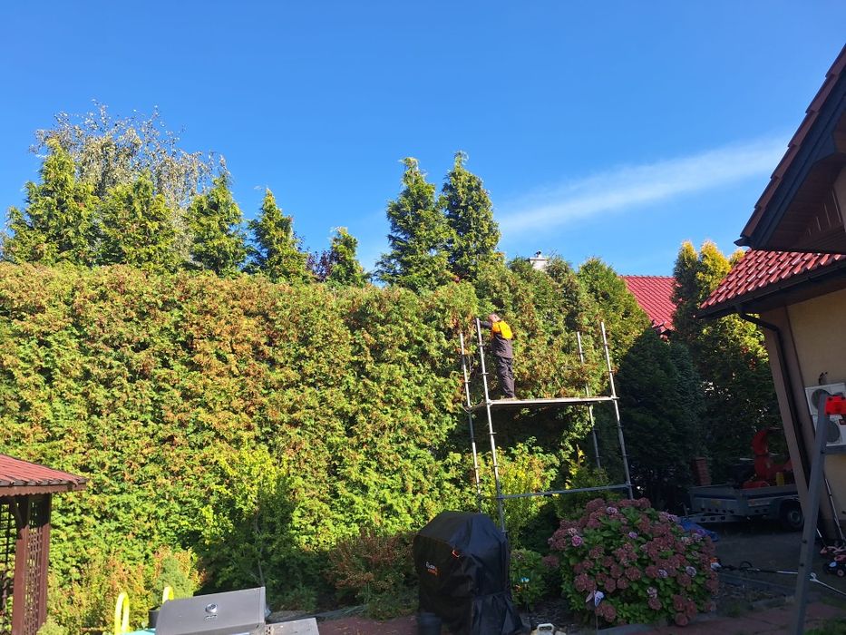 Przycinanie, wycinanie drzew, krzewów,frezowanie pni. Usługi rębakiem.