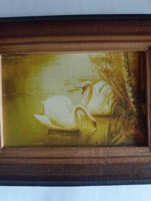 Маленька картина " Лебеді "