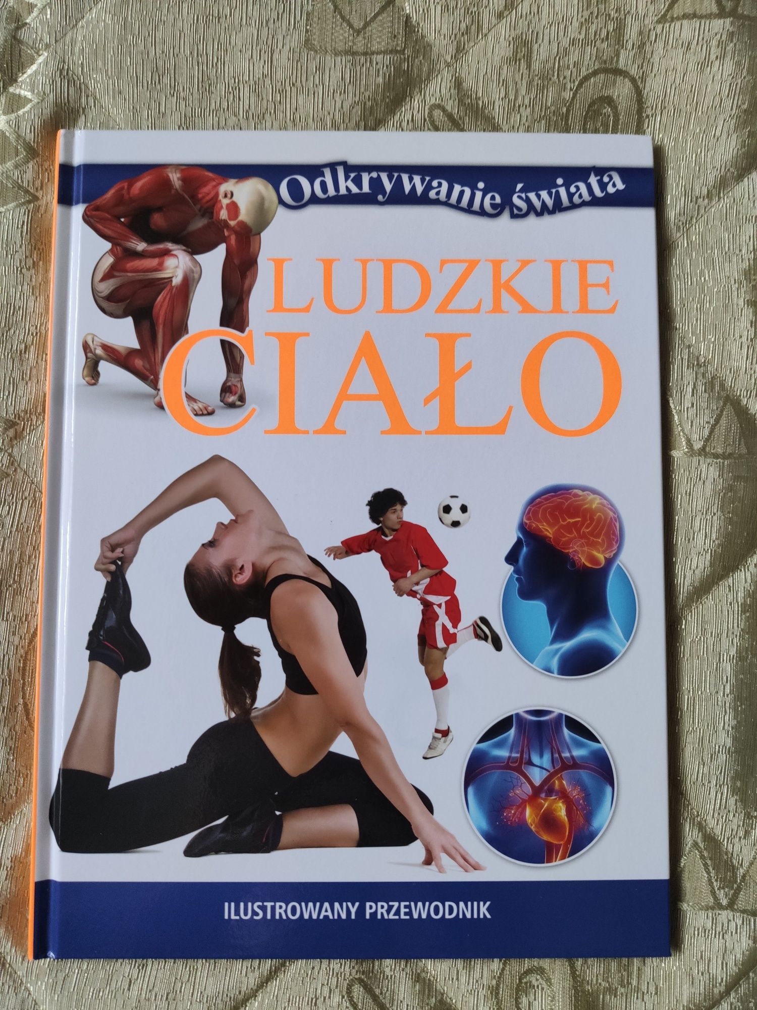 Ludzkie ciało - odkrywanie świata