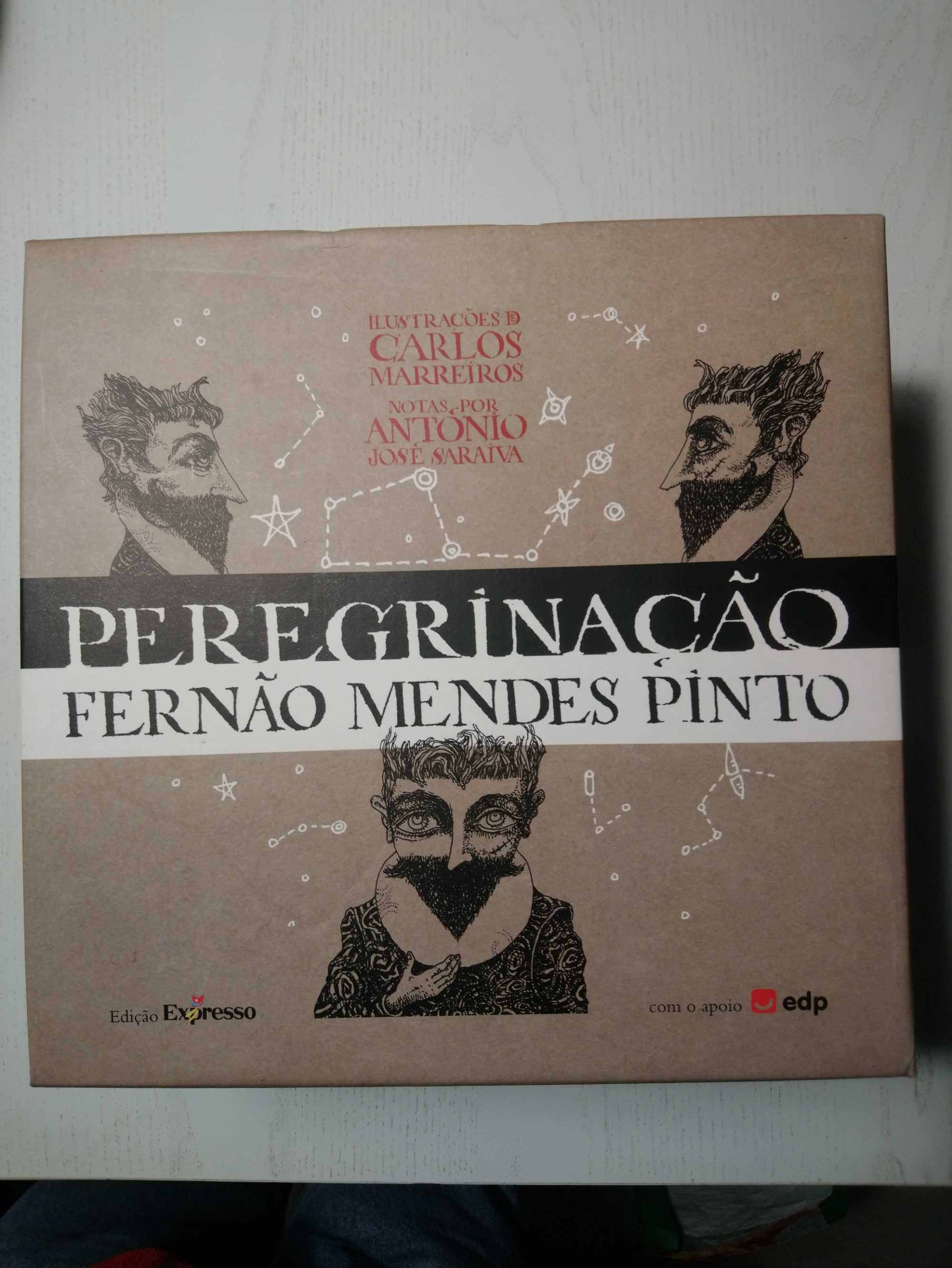 Peregrinação - Fernão Mendes Pinto - Coleção 10 volumes