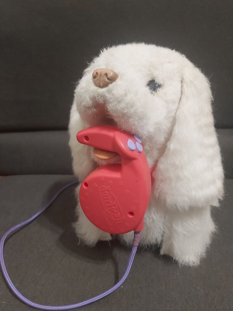 Интерактивний щенок ГоГо с поводком от furreal frends