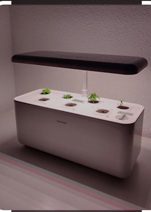 Cultivo hidroponico Prozis