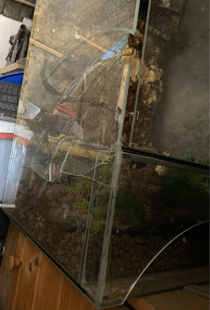 Terrarium szklane Diversa 250 L 100x50x50cm dla gekona uszkodzone