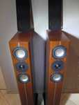 ASW Cantius 404 Germany 100/150W - Kolumny do bardzo lekkiego zadbania