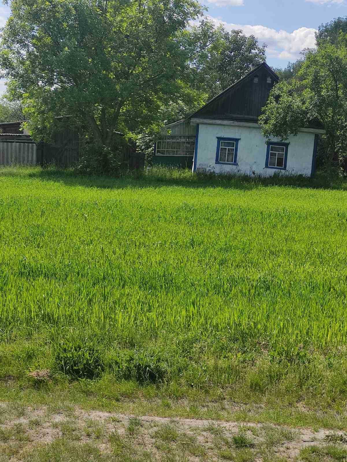 Продам земельну ділянку с. Пилиповичі  Житомирська область