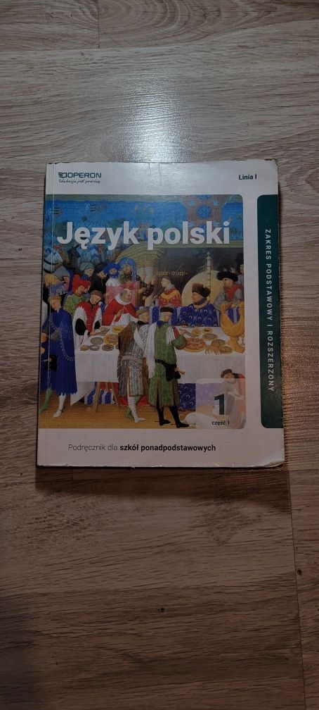 Podręcznik dla liceum klasa 1 (Język polski)