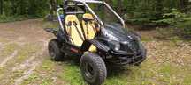 Buggy Zumico ORS 250