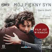 Mój Piękny Syn Audiobook, David Sheff