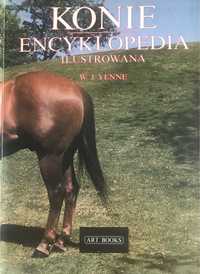 Konie encyklopedia ilustrowana