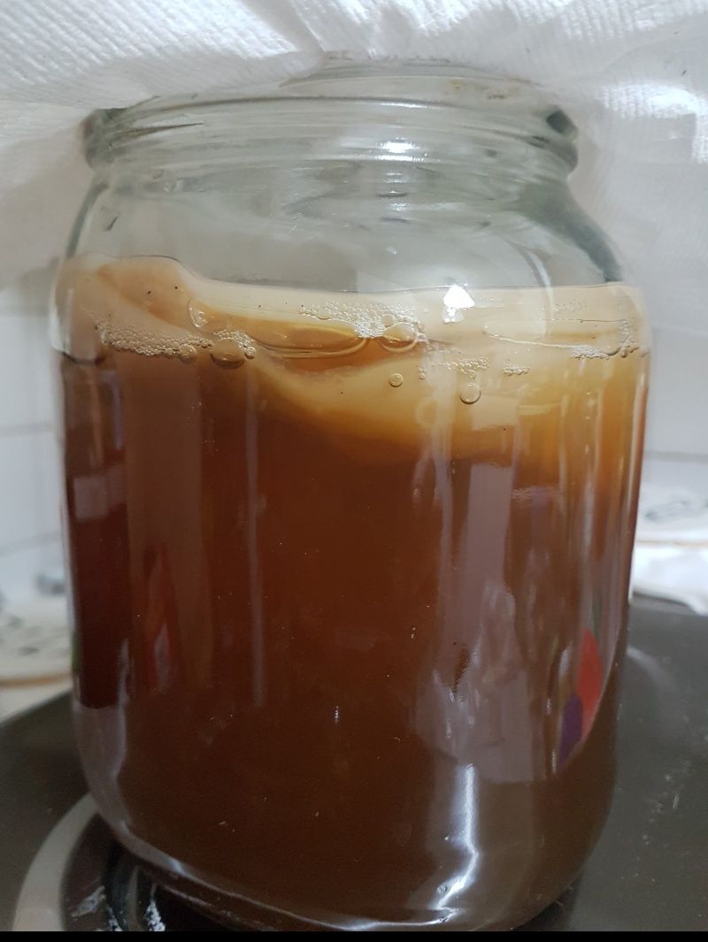 Kombucha Chá Verde (Bebida/2 Scoby/Starter/Pote)