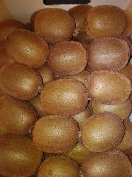 Vende-se kiwi biológico
