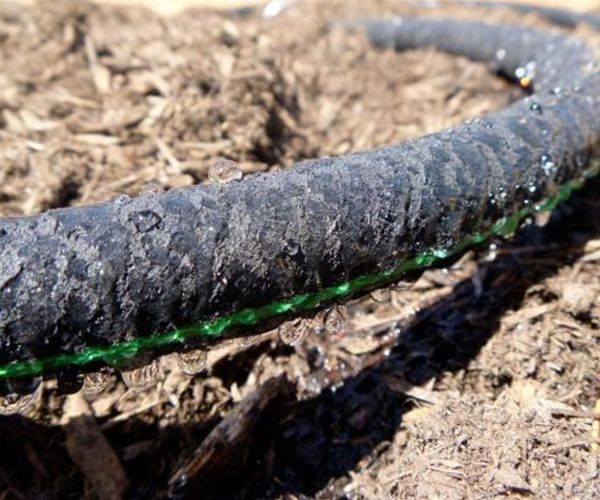 Wąż Nawadniający Kroplujący Pocący Do Nawadniania Roślin 1/2" 30M