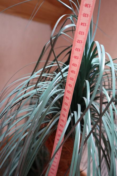 Штучна пальма декоративна искусственная пальма