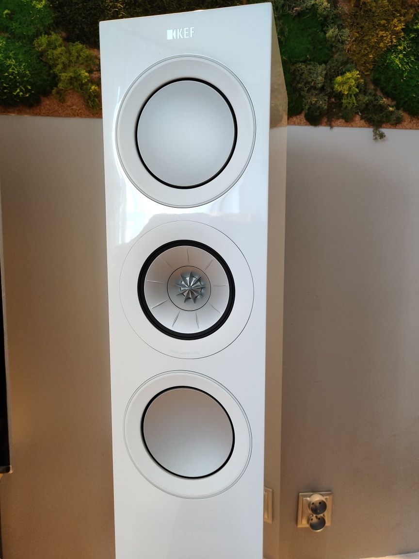KEF R5 biały połysk