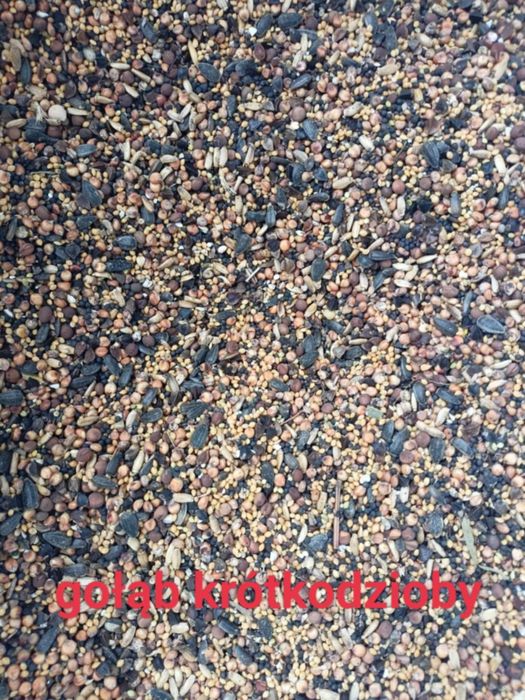 Karma dla gołębi krótko dziobych 20kg