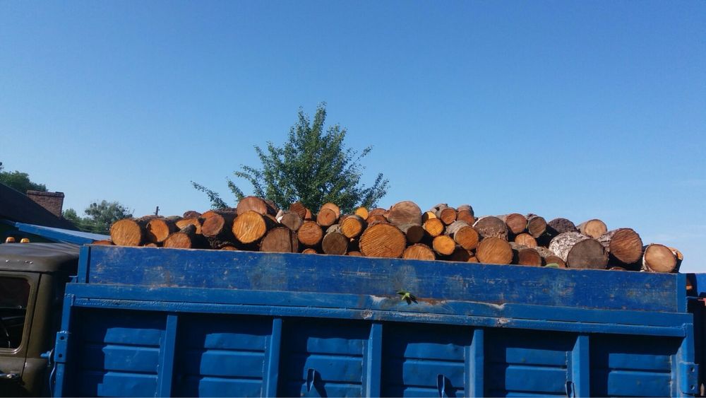 Продаю: дрова з доставкою зил самоскидом