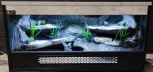 Terrarium nr492 80/40/40 dla gekona lamparciego - NA ZAMÓWIENIE
