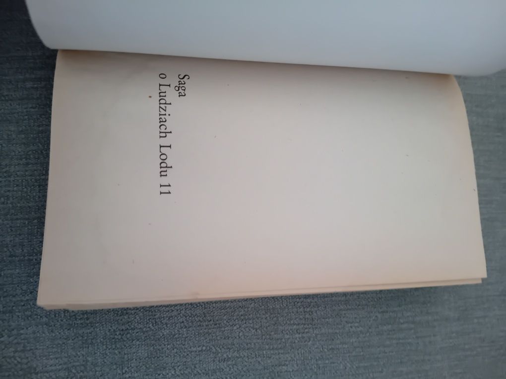 Saga o ludziach lodu Margit Sandemo tom 11 Zemsta
