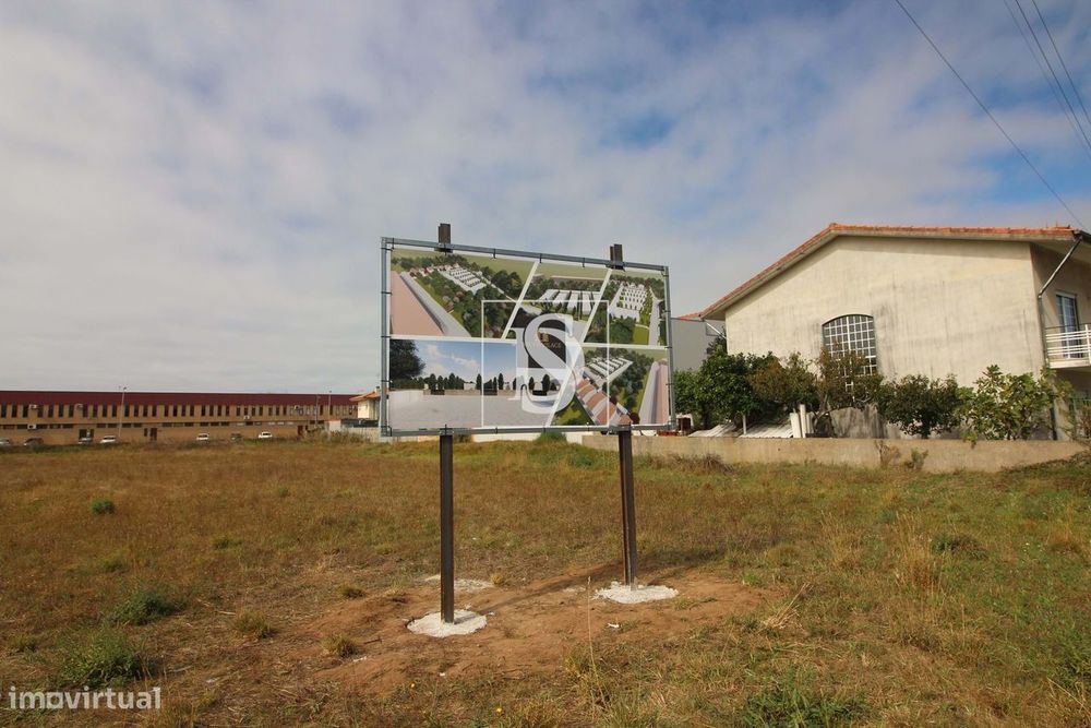 Lote – Argivai – Póvoa de Varzim