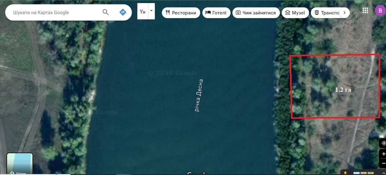 1,2 ГА під Базу відпочинку на березі р Десна -село Рожни/ Базу отдыха