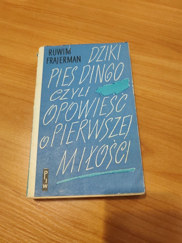 Dziki pies dingo