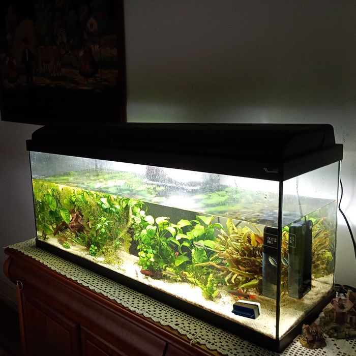 Aquário 1m Aquatlantis