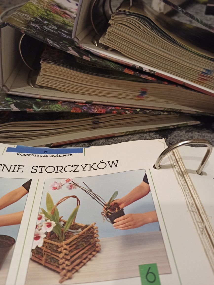 Magia Roślin, czasopismo, 85 części