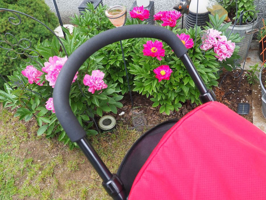 Wózek na plażę  Smart Buggy czerwony