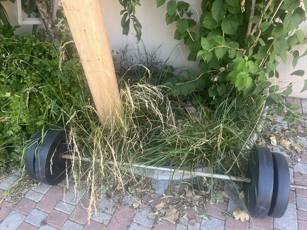 Скамья для жима+ гриф+ блины