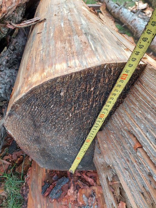 Bale  Modrzew  okorowane