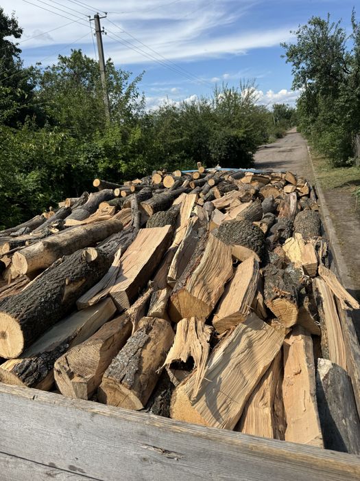 Дрова твердих та мʼяких порід